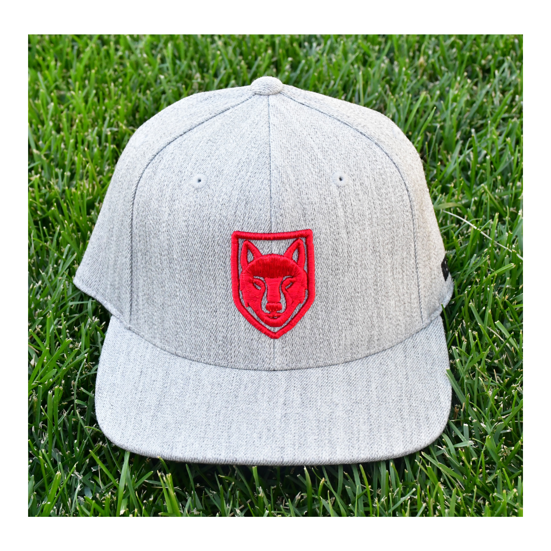 3D UTAH RED WOLVES HAT